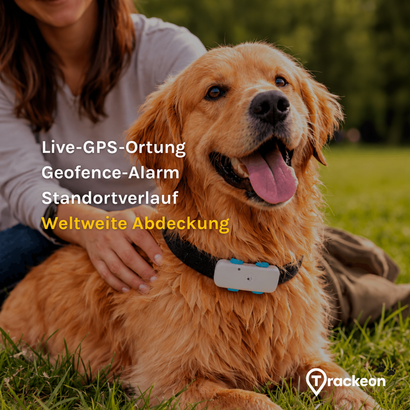Hund mit GPS-Tracker und Übersicht zu Live-Ortung, Geofence, Standortverlauf und weltweiter Abdeckung.