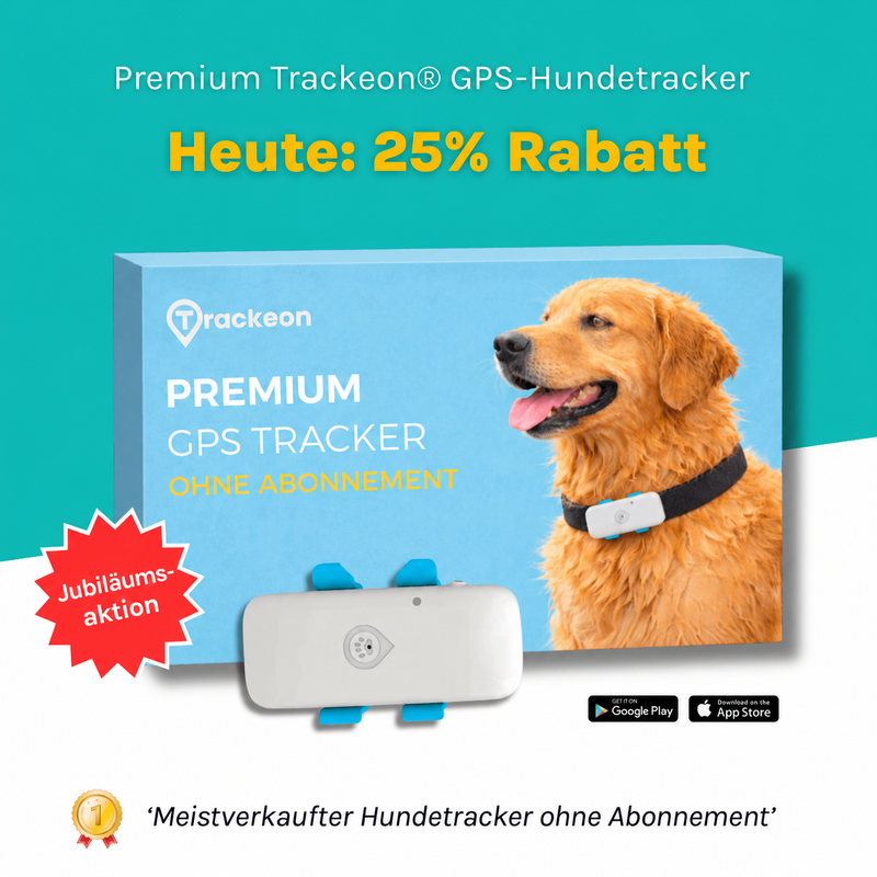 Trackeon GPS-Hundetracker mit Verpackung und Hund, ohne Abonnement.